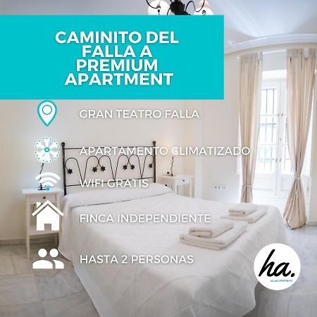 Caminito Del Falla A Ha Apartment 加的斯 外观 照片